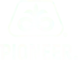 Logo Pioneer